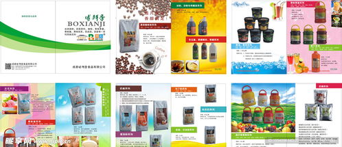 融合科技與美學(xué) 食品畫冊設(shè)計(jì)與定制化軟件開發(fā)的雙重創(chuàng)新